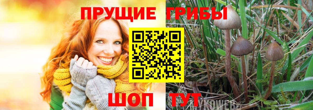 Псилоцибиновые грибы мухоморы Мончегорск
