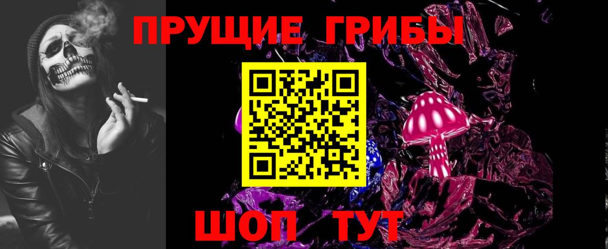 Галлюциногенные грибы Psilocybine cubensis  Вход с VPN  Мончегорск 